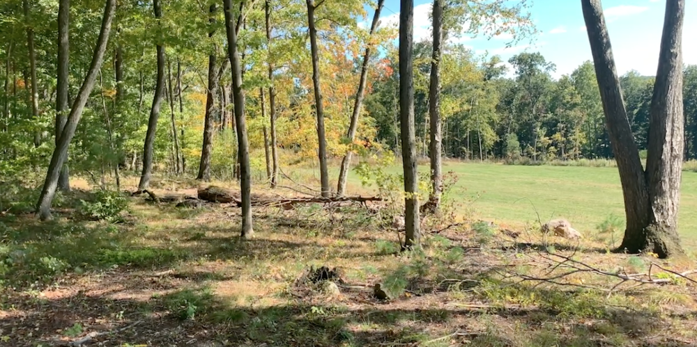 Devastation has cleared following the May 2018 tornado