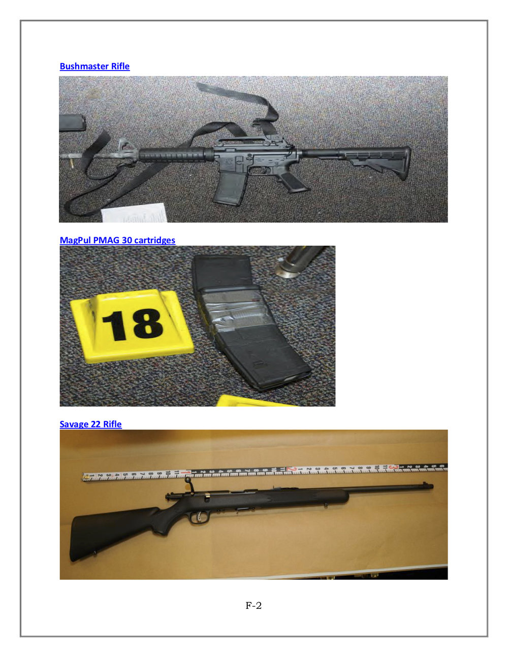 The assault rifle used in the school, a magazine and the rifle used against Lanza's mother (source: Sandy Hook Advisory Commission)