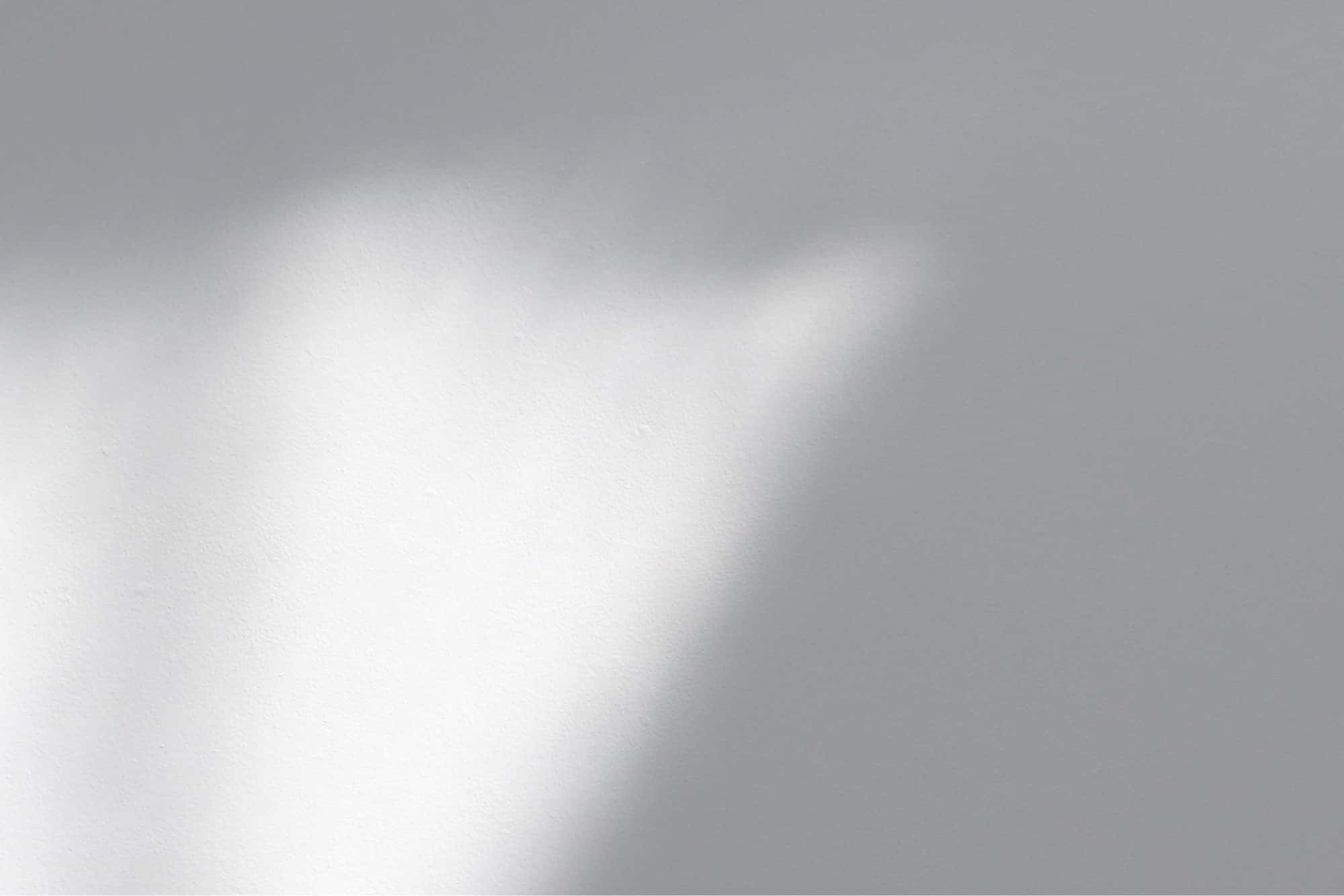 Pellentesque Risus Ridiculus