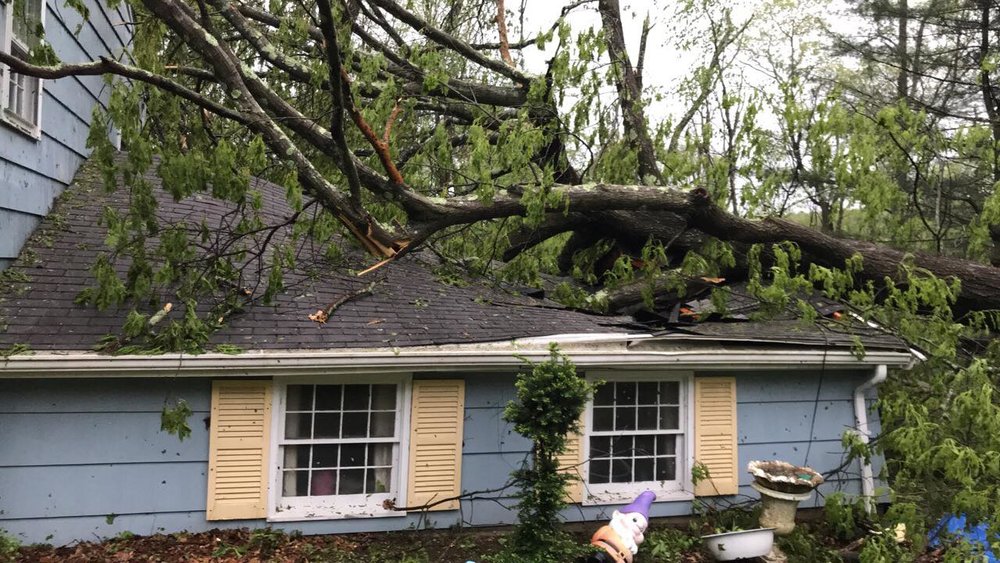 Tree Fallen on Garage Photo Cred: Roger Kepler