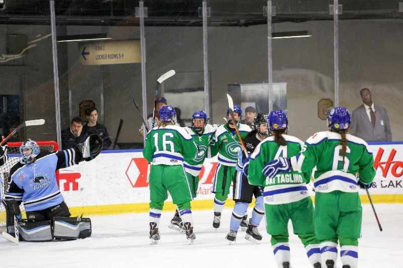 The Connecticut Whale celebrating a goal (credit: Michael Hertzel)