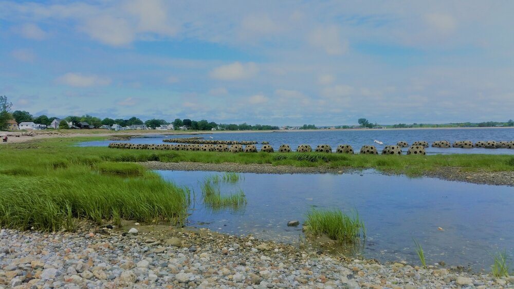 A conservation project started by Sacred Heart University and managed by Audubon Connecticut involves concrete spheres called reef balls in front of a portion of the marsh at Stratford Point to protect it. Photo courtesy of Genevieve Nuttall.