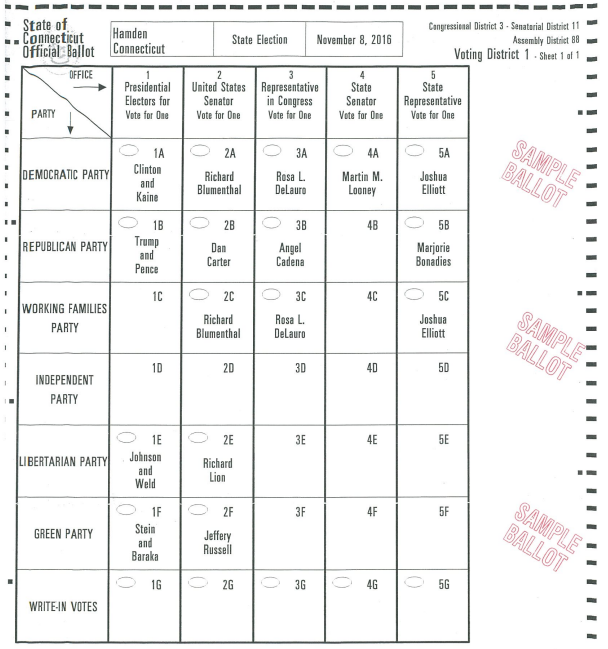 sample ballot.PNG