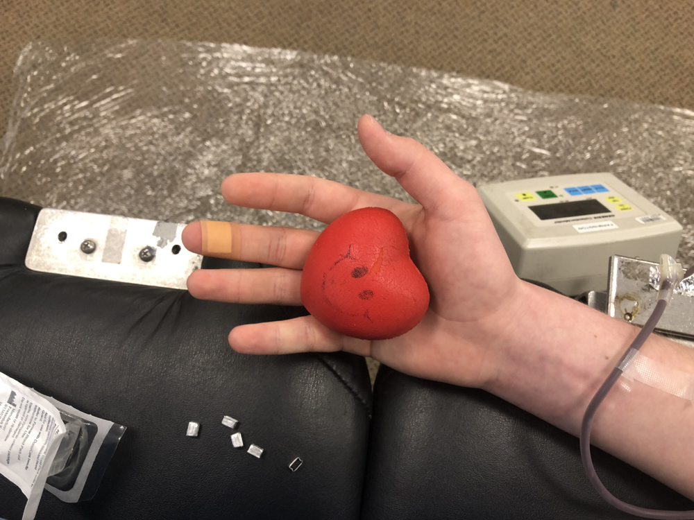  - The pain does not last long according to Neves. One trip to Quinnipiac’s blood drive lasts about 15 minutes and consists of laying down on a medical bed while squeezing a stress ball to pump blood to the person’s arm.