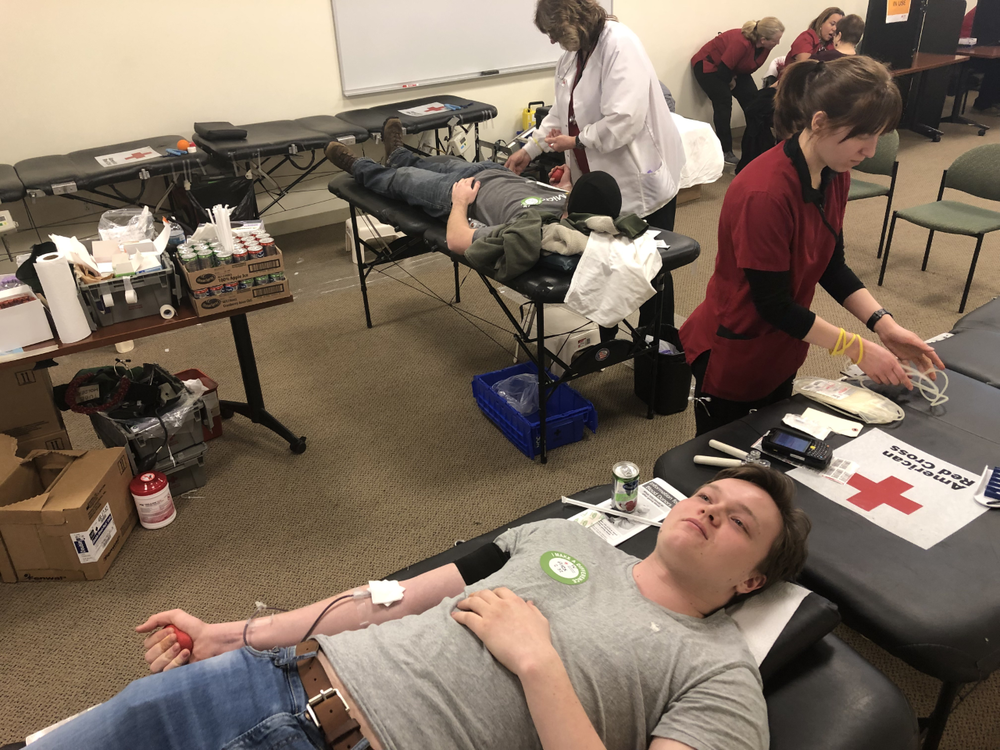 Quinnipiac students donating blood with registered American Red Cross nurses.