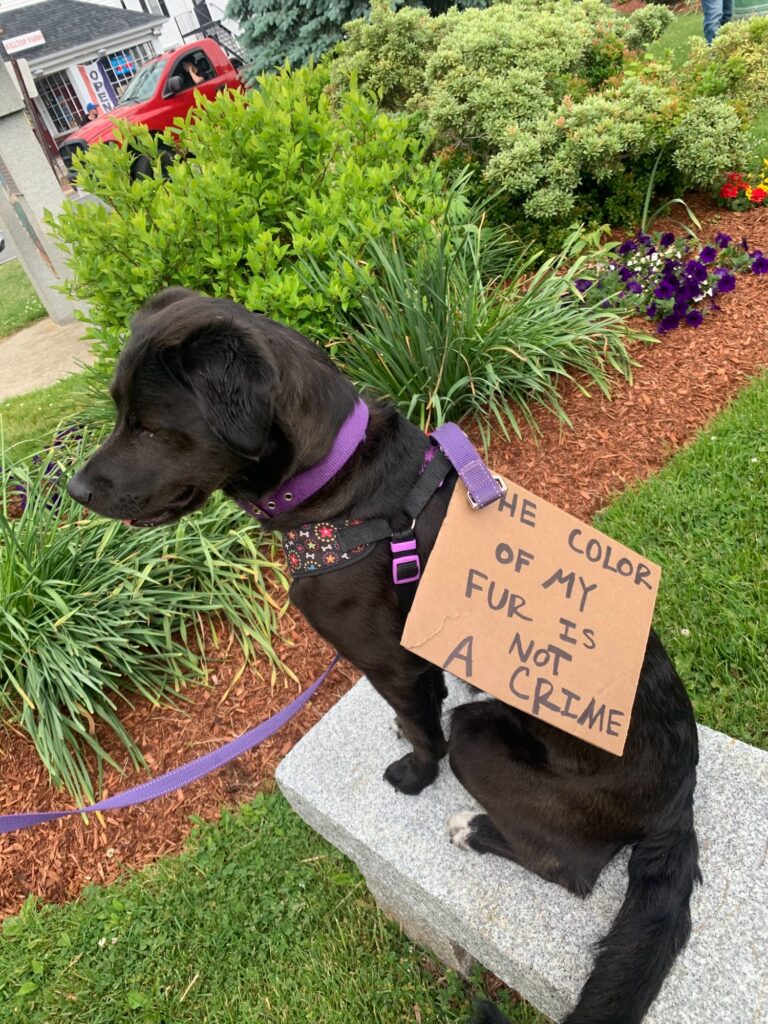 Protests got creative as members of the movement incorporated their pets to convey a simple message, that somebody's appearance should not dictate how they are treated. (Photo by Riley Sanderson)