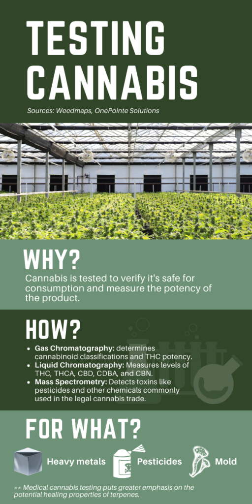Testing cannabis