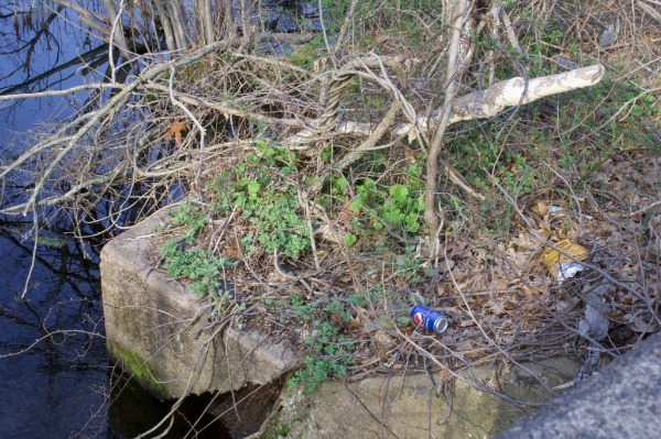 Justin Farmer hopes to transform this piece of land into one that could be used by the local community. As of now, trash lines the streets that encircle the former brownfield. Photo Credit: Mahlet Sugebo.