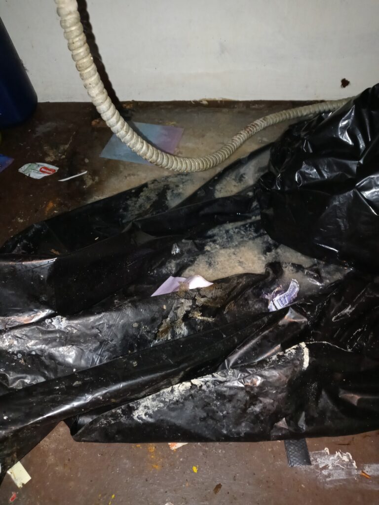 Mold on a black trash bag and dirty basement floor