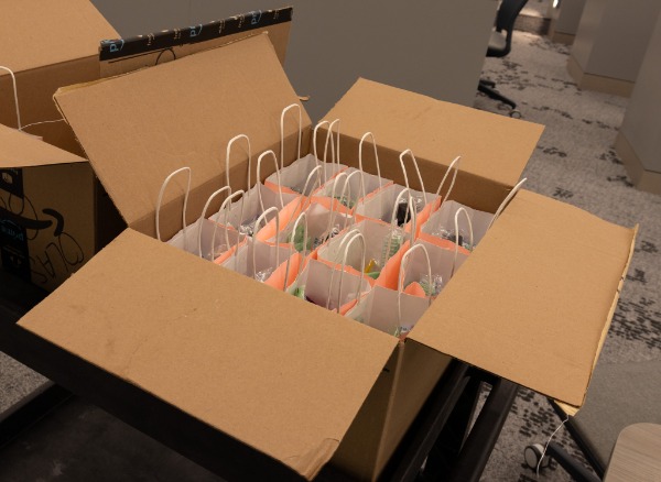 Donation bags filled with menstrual hygiene products sit ready to be delivered. Alexandra Martinakova/HQNN