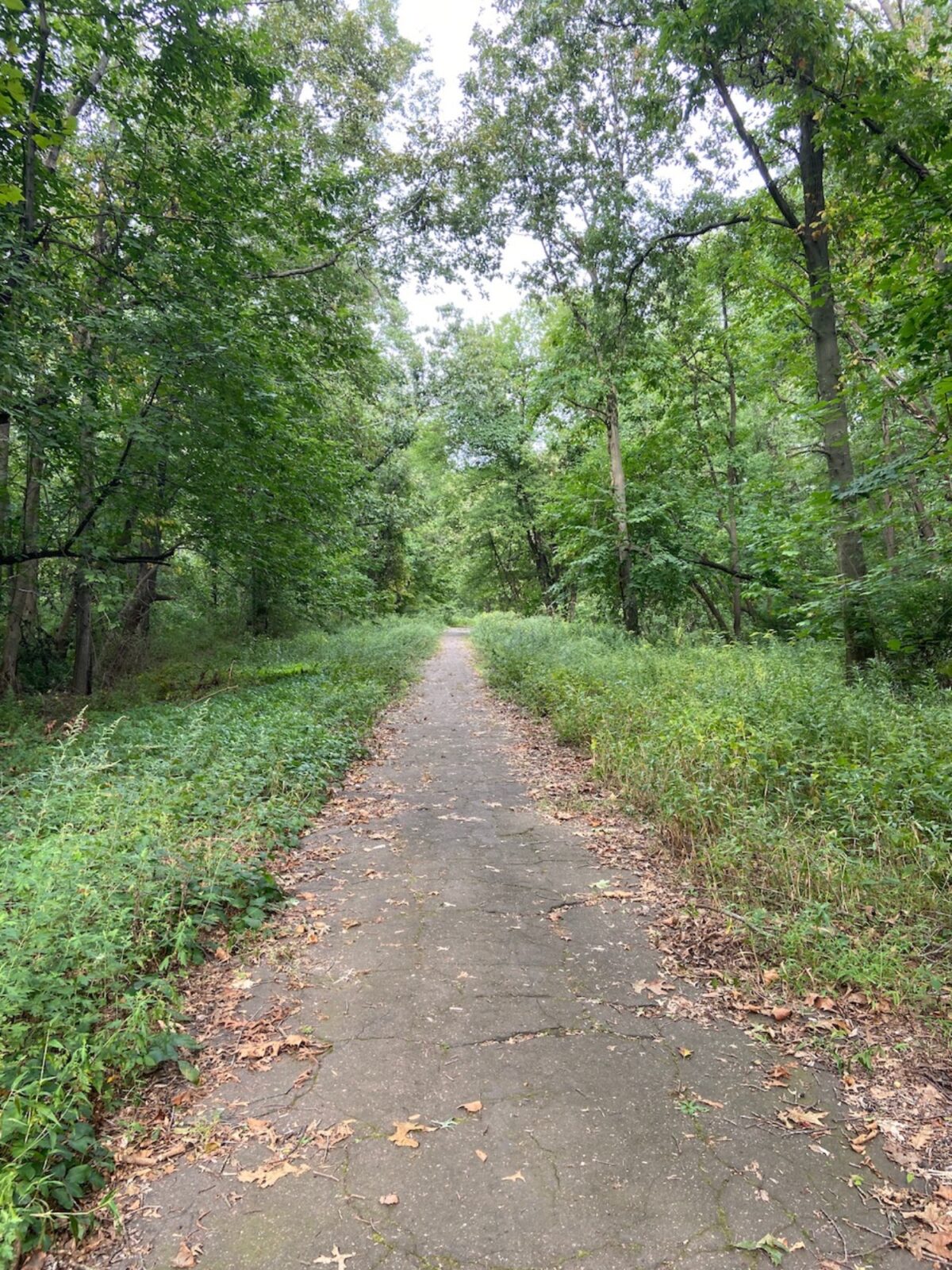 Some locals that go on walks are worried about hunters accidentally hitting them with a stray bullet.