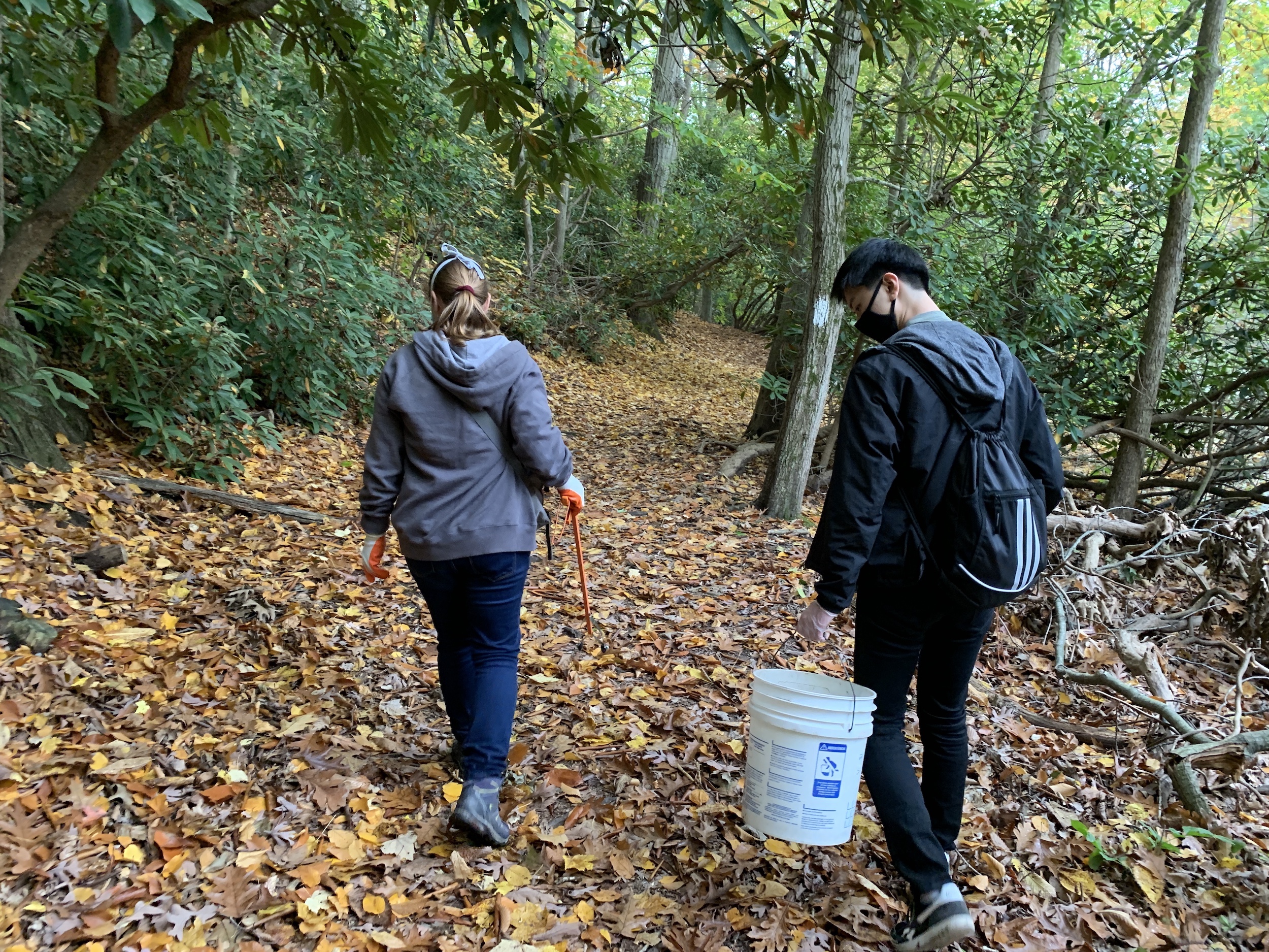 Members of the New Haven Climate Movement took their efforts to the deepest parts of Edgewood Park. (photo by Yanni Tragellis)