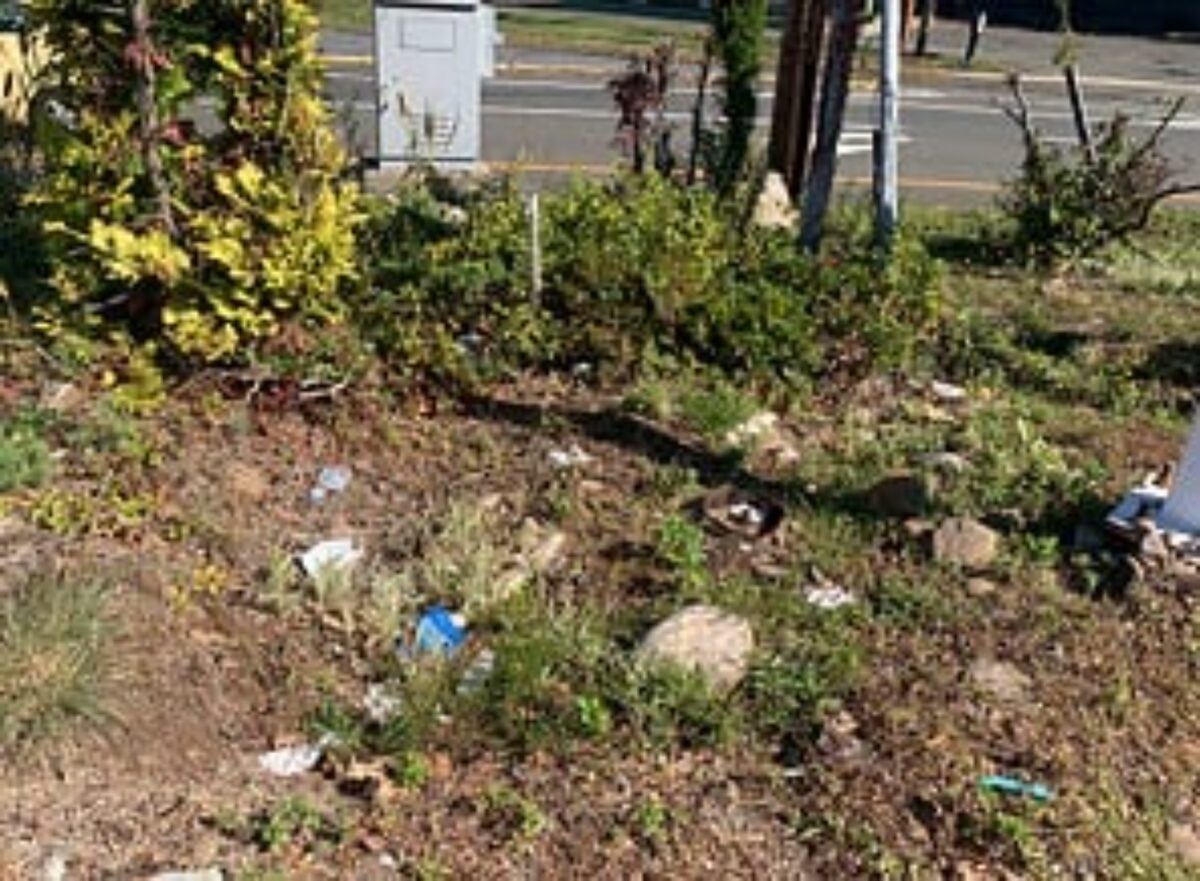 Garbage is found along the side of Whitney Ave. in Hamden (Credit: Matthew Nygaard)