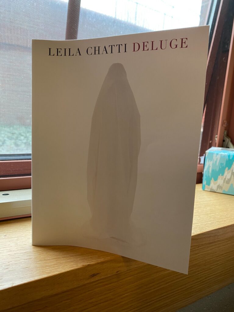 The cover of Chatti's published book, "Deluge." Photo by: Emily DiSalvo