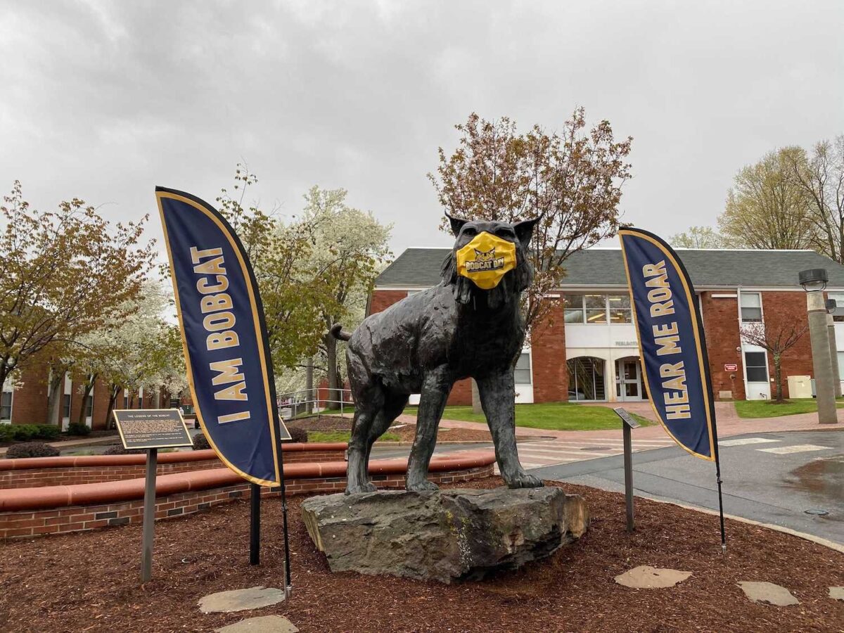 Boomer the Bobcat is decked out in QU gear for Bobcat Day. Photo credit: Samantha McCleery