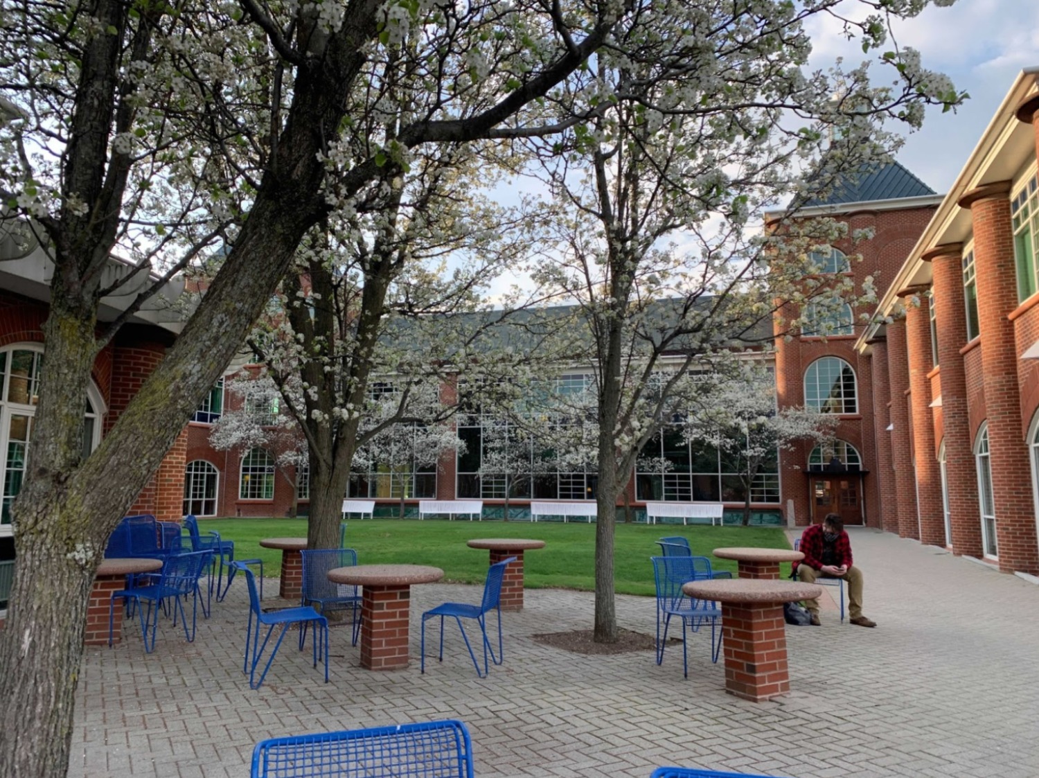 Quinnipiac University's Mount Caramel Campus is nearing full bloom as Earth Day approaches. Photo Credit: Alyssa Naumann