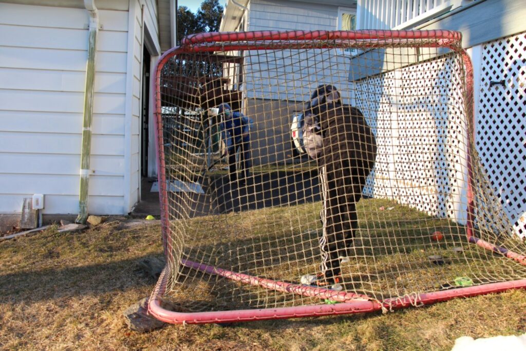 Sean and Ethan Studley practice shooting pucks in their West Haven backyard, an activity they did a lot during the pandemic. Photo Credit: Lo Yarnall