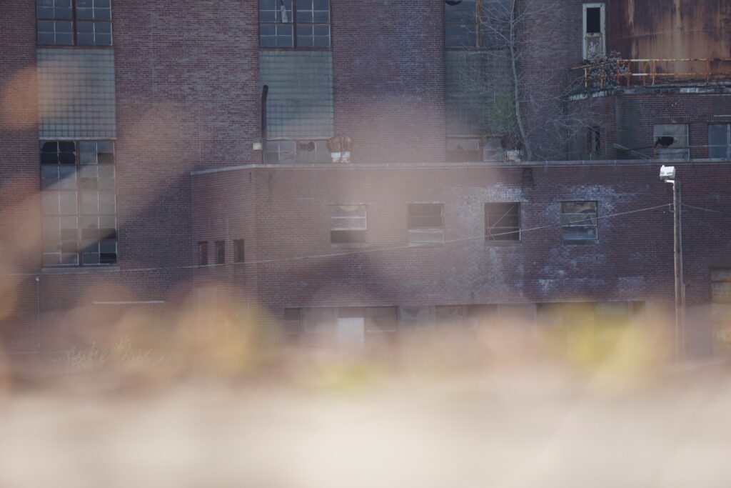 A western view of English Station through the bushes across the street near the John S. Martinez Sea and Sky STEM Magnet School.