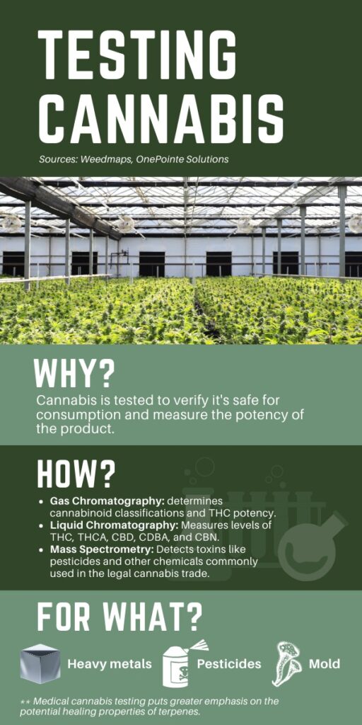 Labs test cannabis to profile terpenes and potency in products and verify that they are safe for consumption. Infographic by Michael Clement.