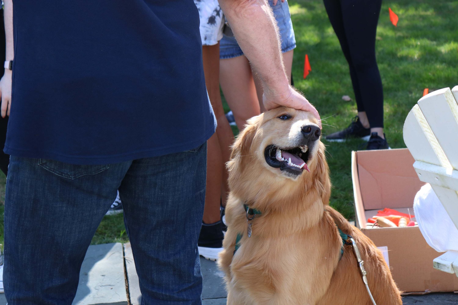 George, the dog of executive director of the Albert Schweitzer Institute Sean Duffy, was a favorite at the pollinating event. (Photo by Michael Sicoli)