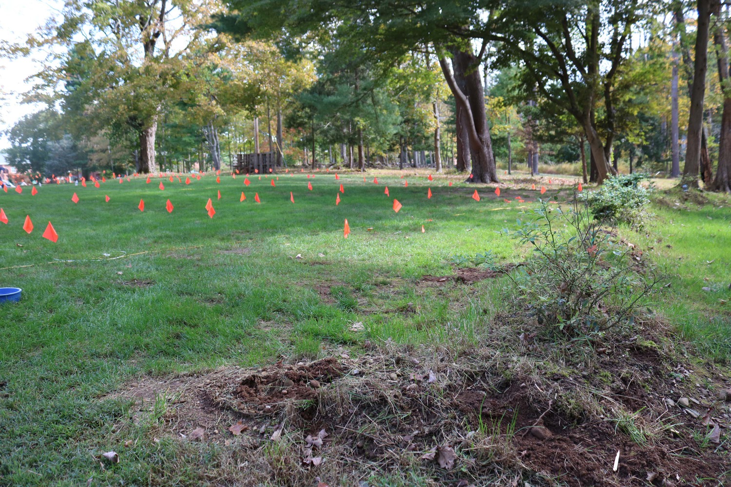 A swale is a shallow channel created to manage water runoff to account for drainage. (Photo by Michael Sicoli)