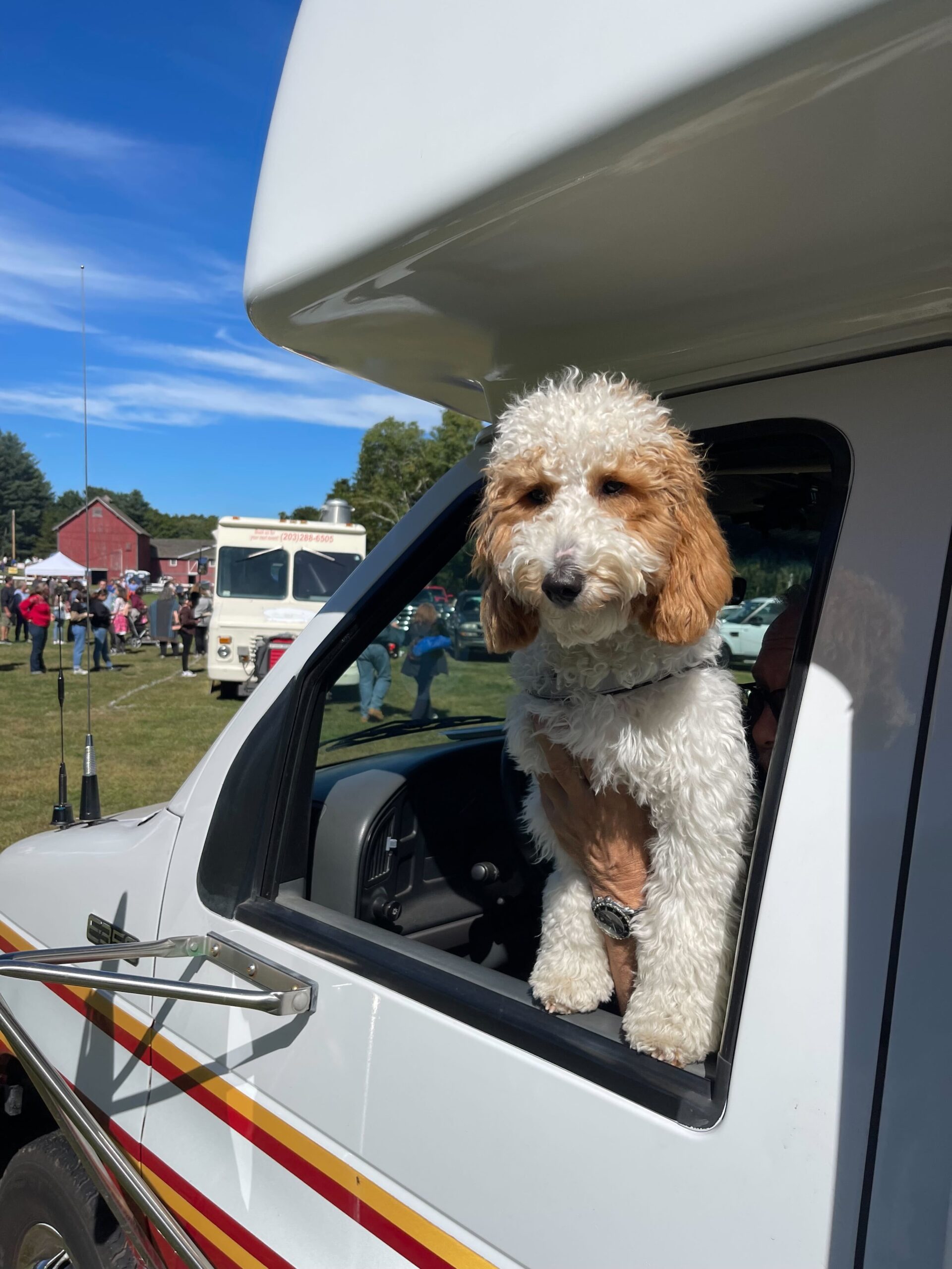 Hamden celebrates annual Brooksvale Park Fall Festival