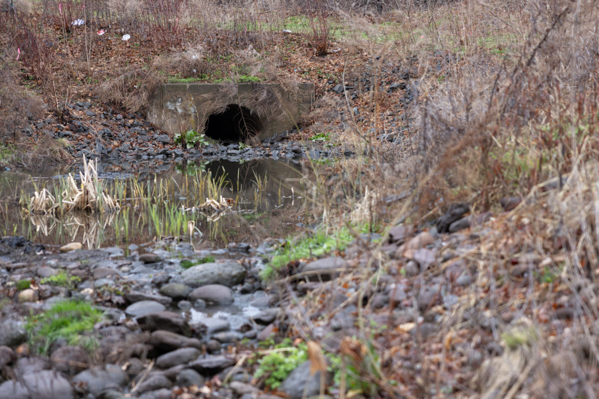 The outfall leading into Hamden Town Center Park after the rain garden project. (George Maddaloni/HQNN)